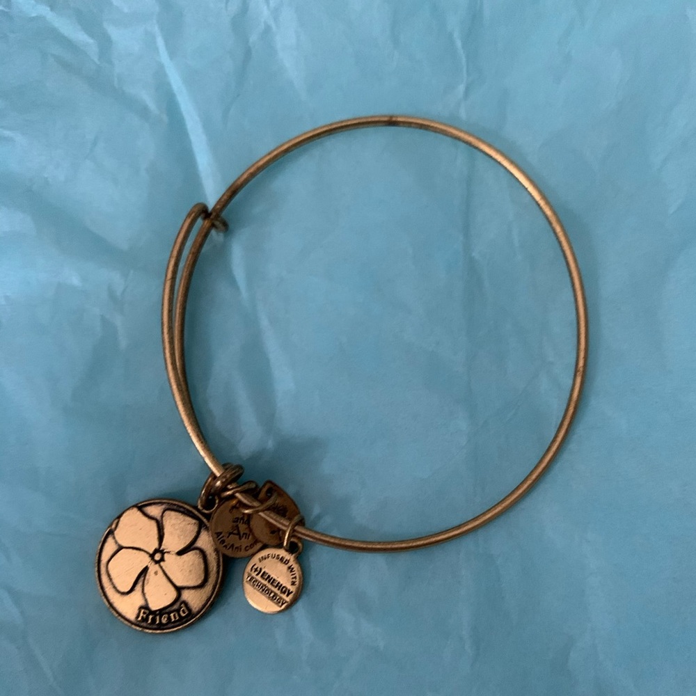 Alex and Ani friend bracelet